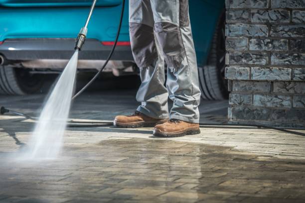 Best Boat and Dock Cleaning  in Emmetsburg, IA